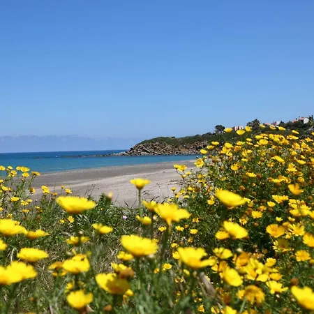 Tra Verde E Mare Dom wakacyjny