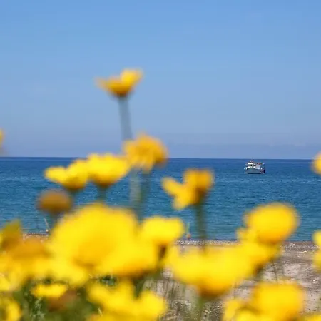 Tra Verde E Mare Hébergement de vacances *